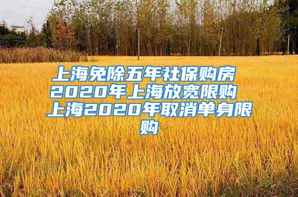 上海免除五年社保购房 2020年上海放宽限购 上海2020年取消单身限购