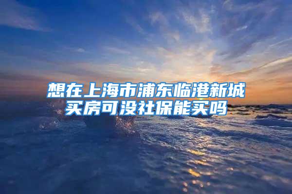 想在上海市浦东临港新城买房可没社保能买吗