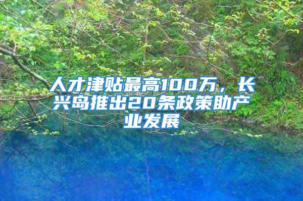 人才津贴最高100万，长兴岛推出20条政策助产业发展