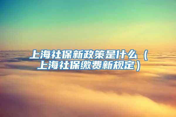 上海社保新政策是什么（上海社保缴费新规定）