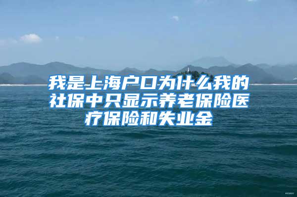 我是上海户口为什么我的社保中只显示养老保险医疗保险和失业金