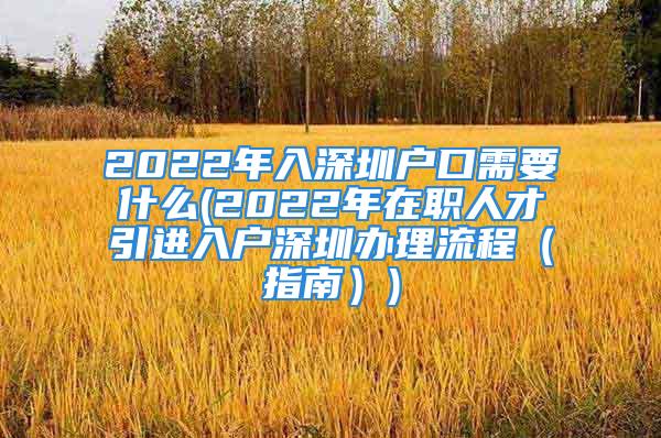 2022年入深圳户口需要什么(2022年在职人才引进入户深圳办理流程（指南）)