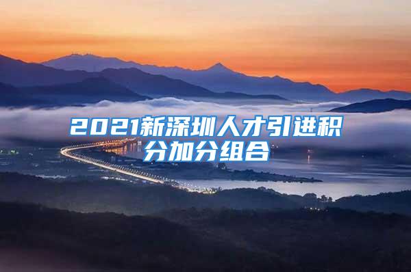 2021新深圳人才引进积分加分组合