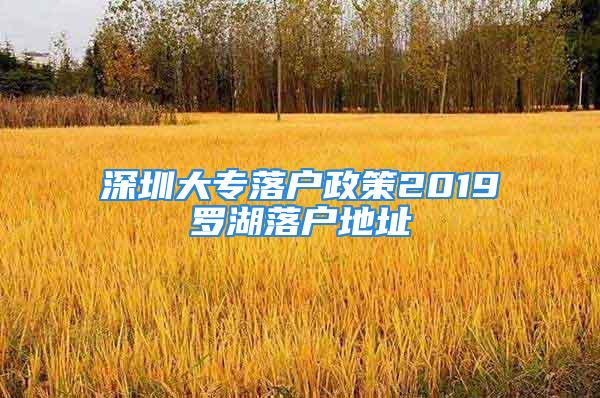 深圳大专落户政策2019罗湖落户地址