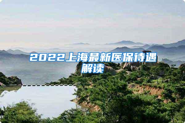 2022上海最新医保待遇解读