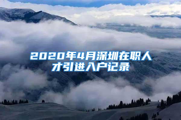 2020年4月深圳在职人才引进入户记录