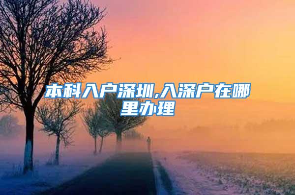 本科入户深圳,入深户在哪里办理