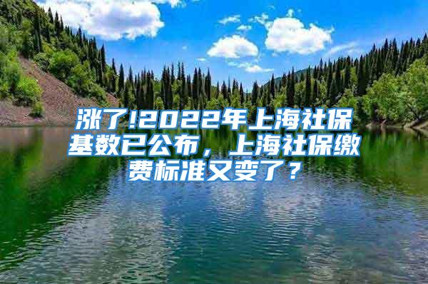 涨了!2022年上海社保基数已公布，上海社保缴费标准又变了？