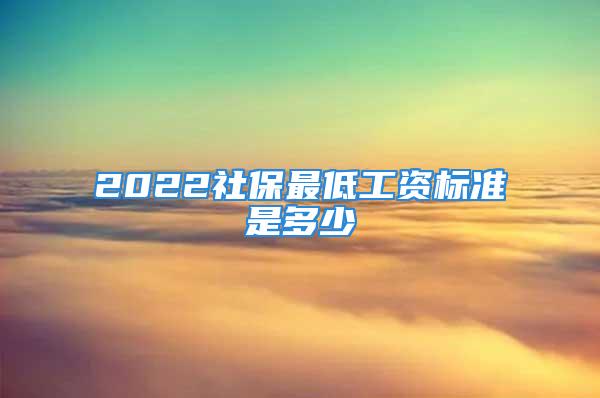 2022社保最低工资标准是多少