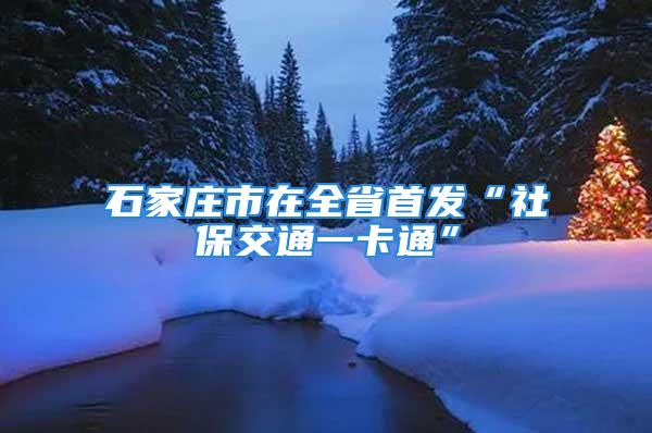 石家庄市在全省首发“社保交通一卡通”