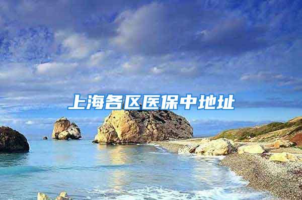 上海各区医保中地址