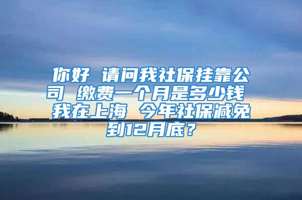 你好 请问我社保挂靠公司 缴费一个月是多少钱 我在上海 今年社保减免到12月底？