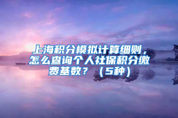 上海积分模拟计算细则，怎么查询个人社保积分缴费基数？（5种）