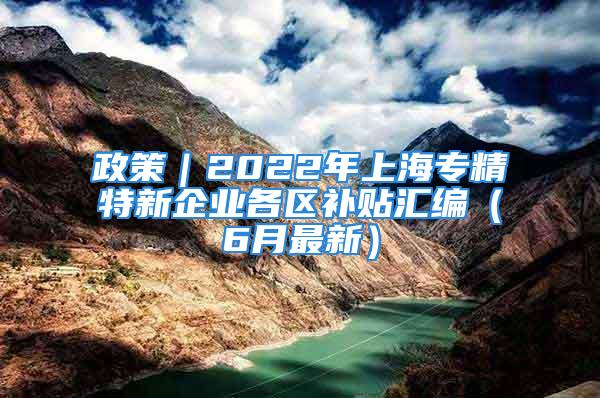 政策｜2022年上海专精特新企业各区补贴汇编（6月最新）