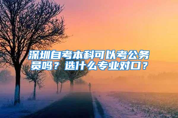 深圳自考本科可以考公务员吗？选什么专业对口？