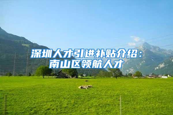 深圳人才引进补贴介绍：南山区领航人才