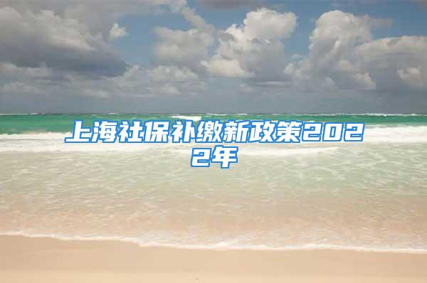 上海社保补缴新政策2022年