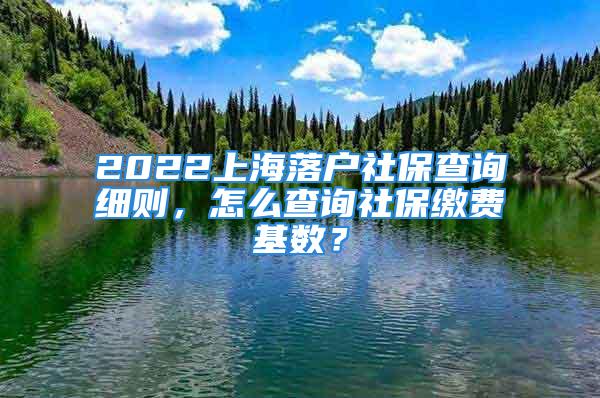 2022上海落户社保查询细则，怎么查询社保缴费基数？