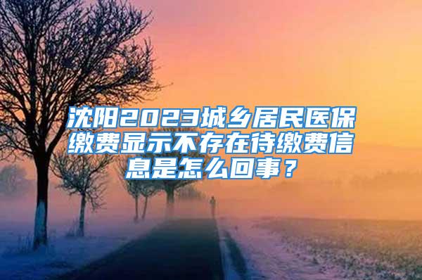 沈阳2023城乡居民医保缴费显示不存在待缴费信息是怎么回事？