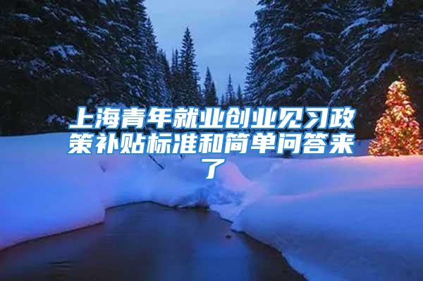 上海青年就业创业见习政策补贴标准和简单问答来了