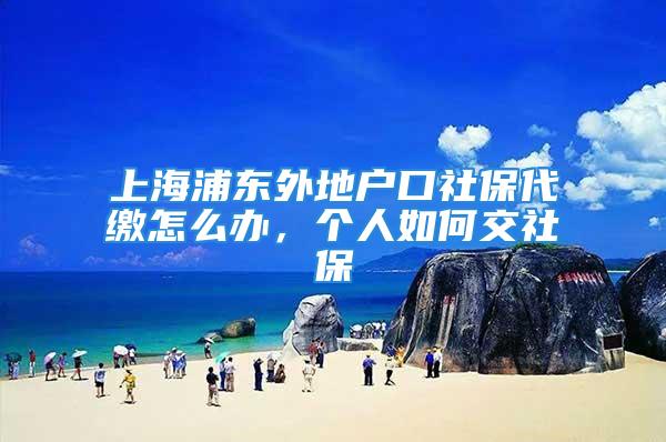 上海浦东外地户口社保代缴怎么办，个人如何交社保