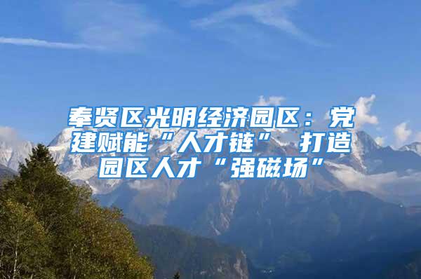 奉贤区光明经济园区：党建赋能“人才链” 打造园区人才“强磁场”