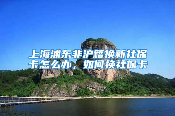 上海浦东非沪籍换新社保卡怎么办，如何换社保卡