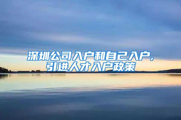 深圳公司入户和自己入户,引进人才入户政策