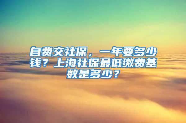 自费交社保，一年要多少钱？上海社保最低缴费基数是多少？