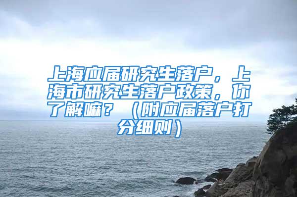 上海应届研究生落户，上海市研究生落户政策，你了解嘛？（附应届落户打分细则）