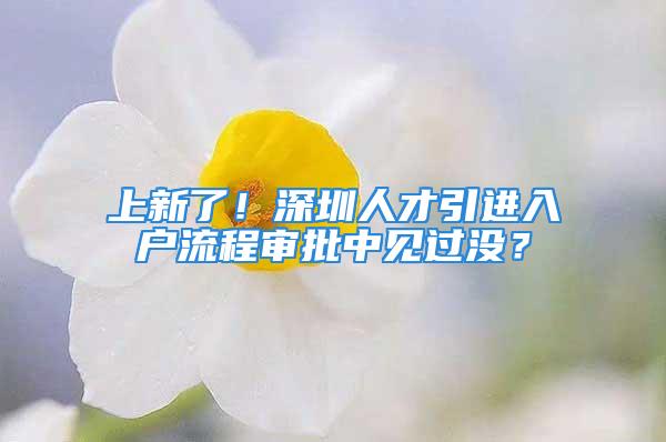 上新了！深圳人才引进入户流程审批中见过没？