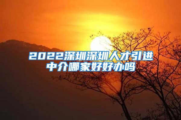 2022深圳深圳人才引进中介哪家好好办吗