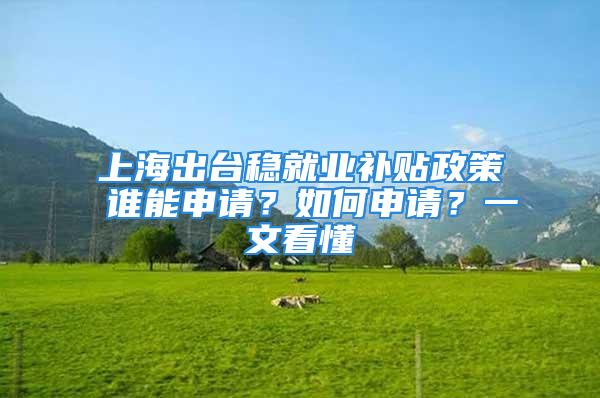 上海出台稳就业补贴政策 谁能申请？如何申请？一文看懂