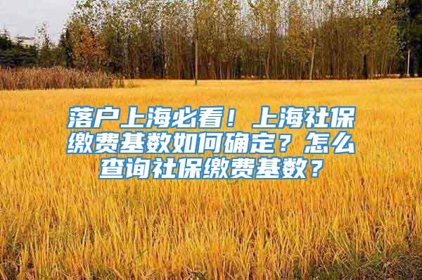 落户上海必看！上海社保缴费基数如何确定？怎么查询社保缴费基数？