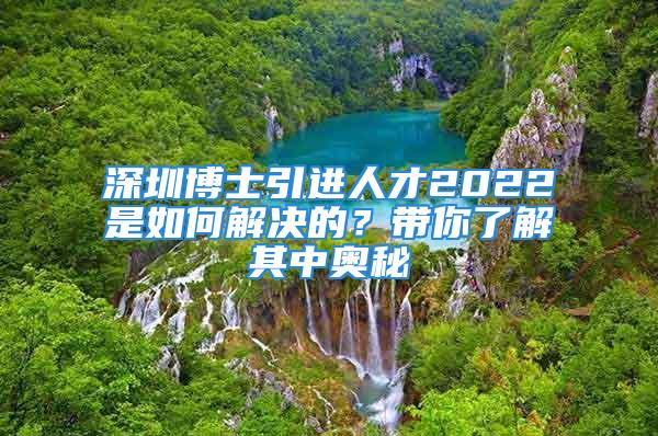 深圳博士引进人才2022是如何解决的？带你了解其中奥秘