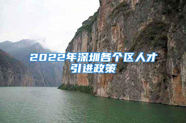 2022年深圳各个区人才引进政策