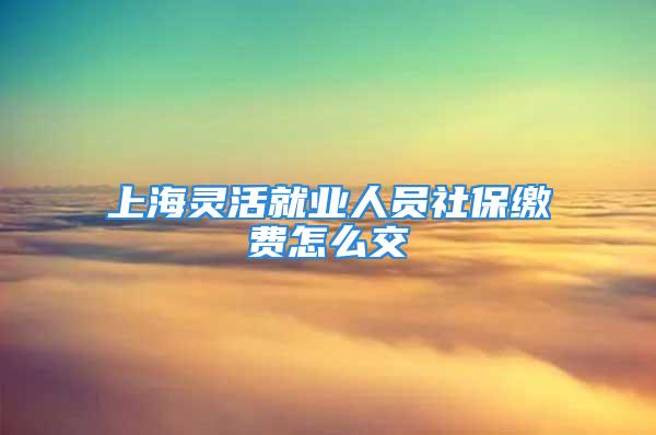 上海灵活就业人员社保缴费怎么交