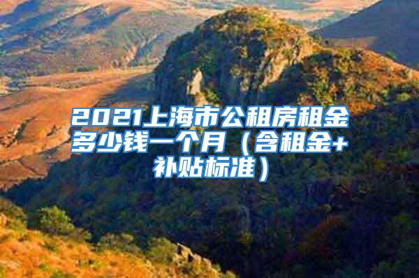 2021上海市公租房租金多少钱一个月（含租金+补贴标准）