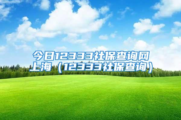 今日12333社保查询网上海（12333社保查询）