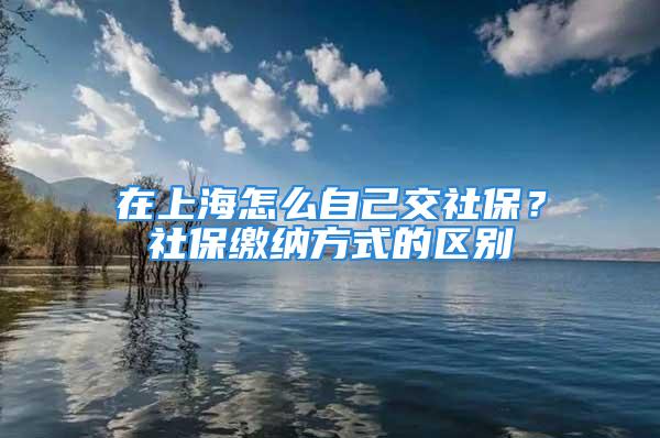 在上海怎么自己交社保？社保缴纳方式的区别