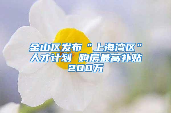 金山区发布“上海湾区”人才计划 购房最高补贴200万