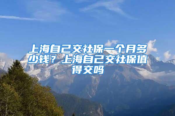 上海自己交社保一个月多少钱？上海自己交社保值得交吗