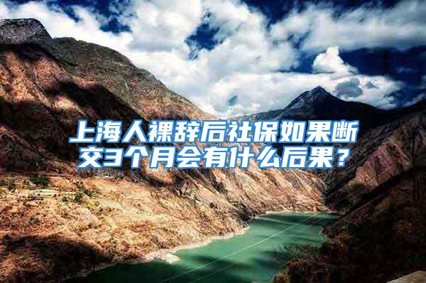 上海人裸辞后社保如果断交3个月会有什么后果？