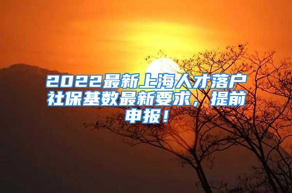 2022最新上海人才落户社保基数最新要求，提前申报！