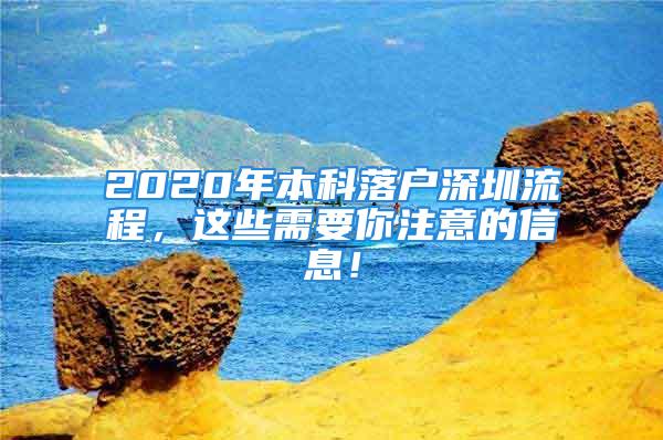 2020年本科落户深圳流程，这些需要你注意的信息！