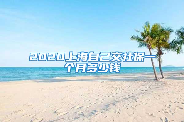 2020上海自己交社保一个月多少钱