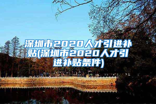 深圳市2020人才引进补贴(深圳市2020人才引进补贴条件)