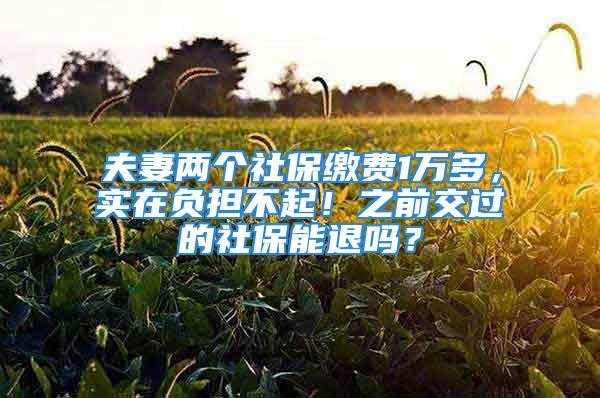 夫妻两个社保缴费1万多，实在负担不起！之前交过的社保能退吗？