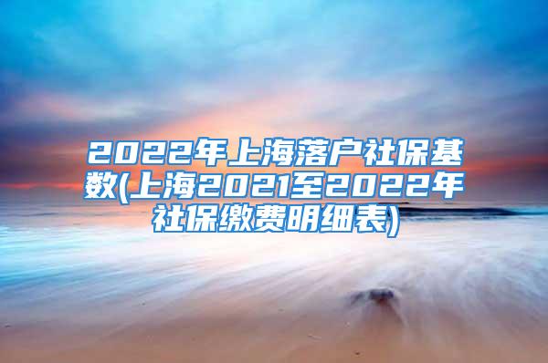 2022年上海落户社保基数(上海2021至2022年社保缴费明细表)