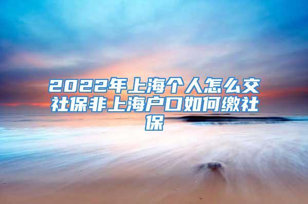 2022年上海个人怎么交社保非上海户口如何缴社保